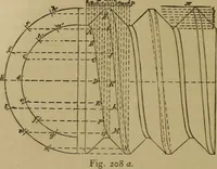 An illustration from Mechanical drawing self-taught: comprising instructions in the selection and preparation of drawing instruments. Elementary instruction in practical mechanical drawing. Together with examples in simple geometry and elementary mechanism, including screw threads, gear wheels, mechanical motions, engines and boilers (1889)