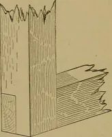 An illustration from Mechanical drawing self-taught: comprising instructions in the selection and preparation of drawing instruments. Elementary instruction in practical mechanical drawing. Together with examples in simple geometry and elementary mechanism, including screw threads, gear wheels, mechanical motions, engines and boilers (1889)