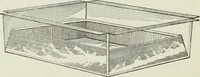 An illustration from Mechanical equipment of buildings; a reference book for engineers and architects (1916)