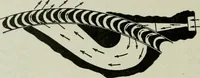 An illustration from Mechanical equipment of buildings; a reference book for engineers and architects (1916)