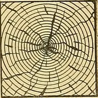 An illustration from Mechanical graphics. An educational course on the theory and practice of mechanical drawing (1890)