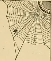 An illustration from Mechanical graphics. An educational course on the theory and practice of mechanical drawing (1890)