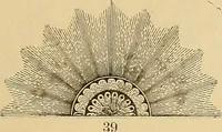 An illustration from Mechanical graphics. An educational course on the theory and practice of mechanical drawing (1890)