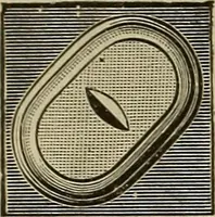 An illustration from The mechanical index, 1904. A complete index to the names and addresses of all manufacturers in the United States of mechanical appliances, machinery and tools operated by steam, electricity, water, hand or foot power (1904)