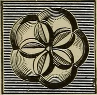 An illustration from The mechanical index, 1904. A complete index to the names and addresses of all manufacturers in the United States of mechanical appliances, machinery and tools operated by steam, electricity, water, hand or foot power (1904)