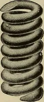 An illustration from The mechanical index, 1904. A complete index to the names and addresses of all manufacturers in the United States of mechanical appliances, machinery and tools operated by steam, electricity, water, hand or foot power (1904)