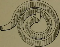 Picture 110 of 1008 from Mechanical movements, powers and devices (1911), leaf 74