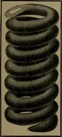 An illustration from Mechanical movements, powers and devices (1907)