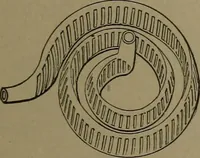 An illustration from Mechanical movements, powers and devices (1907)