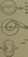 Picture 574 of 855 from Mechanical movements, powers, devices and appliances (1901), leaf 268