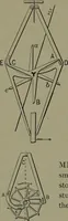 An illustration from Mechanical movements, powers, devices and appliances (1901)