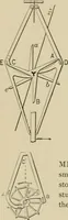 An illustration from Mechanical movements, powers, devices and appliances; (1903)