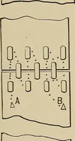 An illustration from Mechanical movements, powers, devices and appliances; (1903)