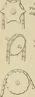 An illustration from Mechanical movements, powers, devices and appliances; (1903)