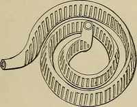 An illustration from Mechanical movements, powers, devices and appliances; (1903)