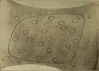 An illustration from Mechanics and heat; a text book for collleges and technical schools (1916)