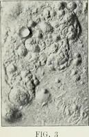Picture 3 of 19 from The mechanics of the moon : dedicated to the astronomers and astrophysicists (1906), leaf 36
