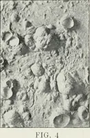 An illustration from The mechanics of the moon : dedicated to the astronomers and astrophysicists (1906)