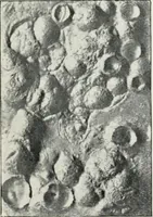 An illustration from The mechanics of the moon : dedicated to the astronomers and astrophysicists (1906)