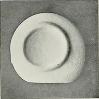 An illustration from The mechanics of the moon : dedicated to the astronomers and astrophysicists (1906)