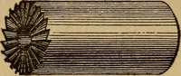 An illustration from The mechanic's tool book. With practical rules and suggestions for use of machinists, iron-workers and others (1868)