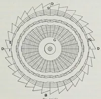 An illustration from The mechanism of weaving (1894)