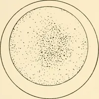 An illustration from The mechanistic conception of life : biological essays (1912)