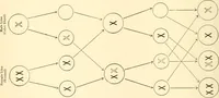 An illustration from The mechanistic conception of life : biological essays (1912)