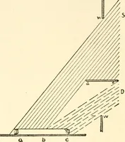 An illustration from The mechanistic conception of life : biological essays (1912)