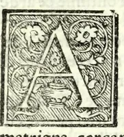 An illustration from Medea : tragedia (1558)