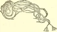 An illustration from Media, Babylon and Persia : including a study of the Zend-Avesta or religion of Zoroaster, from the fall of Nineveh to the Persian war (1889)