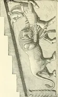 Picture 80 of 93 from Media, Babylon and Persia : including a study of the Zend-Avesta or religion of Zoroaster, from the fall of Nineveh to the Persian war (1889), leaf 427