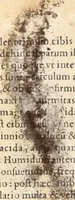 An illustration from Medicae artis principes, post Hippocratem & Galenum. Graeci Latinitate donati, Aretaeus, Ruffus Ephesius, Oribasius, Paulus Aegineta, Aëtius, Alex. Trallianus, Actuarius, Nic. Myrepsus. Latini, Corn. Celsus, Scrib. Largus, Marcell. Empiricus. Aliíque praeterea, quorum unius nomen ignoratur. Index non solùm copiosus, sed etiam ordine artificioso omnia digesta habens. Hippocr. aliquot loci cum Corn. Celsi interpretatione (1567)