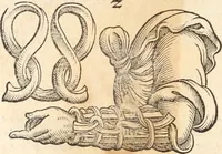 Picture 3 of 57 from Medicae artis principes, post Hippocratem & Galenum. Graeci Latinitate donati, Aretaeus, Ruffus Ephesius, Oribasius, Paulus Aegineta, Aëtius, Alex. Trallianus, Actuarius, Nic. Myrepsus. Latini, Corn. Celsus, Scrib. Largus, Marcell. Empiricus. Aliíque praeterea, quorum unius nomen ignoratur. Index non solùm copiosus, sed etiam ordine artificioso omnia digesta habens. Hippocr. aliquot loci cum Corn. Celsi interpretatione (1567), leaf 85