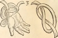 Picture 4 of 57 from Medicae artis principes, post Hippocratem & Galenum. Graeci Latinitate donati, Aretaeus, Ruffus Ephesius, Oribasius, Paulus Aegineta, Aëtius, Alex. Trallianus, Actuarius, Nic. Myrepsus. Latini, Corn. Celsus, Scrib. Largus, Marcell. Empiricus. Aliíque praeterea, quorum unius nomen ignoratur. Index non solùm copiosus, sed etiam ordine artificioso omnia digesta habens. Hippocr. aliquot loci cum Corn. Celsi interpretatione (1567), leaf 85