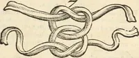 An illustration from Medicae artis principes, post Hippocratem & Galenum. Graeci Latinitate donati, Aretaeus, Ruffus Ephesius, Oribasius, Paulus Aegineta, Aëtius, Alex. Trallianus, Actuarius, Nic. Myrepsus. Latini, Corn. Celsus, Scrib. Largus, Marcell. Empiricus. Aliíque praeterea, quorum unius nomen ignoratur. Index non solùm copiosus, sed etiam ordine artificioso omnia digesta habens. Hippocr. aliquot loci cum Corn. Celsi interpretatione (1567)