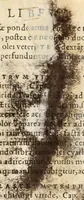 An illustration from Medicae artis principes, post Hippocratem & Galenum. Graeci Latinitate donati, Aretaeus, Ruffus Ephesius, Oribasius, Paulus Aegineta, Aëtius, Alex. Trallianus, Actuarius, Nic. Myrepsus. Latini, Corn. Celsus, Scrib. Largus, Marcell. Empiricus. Aliíque praeterea, quorum unius nomen ignoratur. Index non solùm copiosus, sed etiam ordine artificioso omnia digesta habens. Hippocr. aliquot loci cum Corn. Celsi interpretatione (1567)