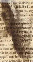 An illustration from Medicae artis principes, post Hippocratem & Galenum. Graeci Latinitate donati, Aretaeus, Ruffus Ephesius, Oribasius, Paulus Aegineta, Aëtius, Alex. Trallianus, Actuarius, Nic. Myrepsus. Latini, Corn. Celsus, Scrib. Largus, Marcell. Empiricus. Aliíque praeterea, quorum unius nomen ignoratur. Index non solùm copiosus, sed etiam ordine artificioso omnia digesta habens. Hippocr. aliquot loci cum Corn. Celsi interpretatione (1567)