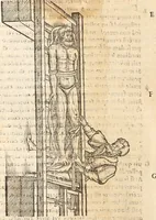 An illustration from Medicae artis principes, post Hippocratem & Galenum. Graeci Latinitate donati, Aretaeus, Ruffus Ephesius, Oribasius, Paulus Aegineta, Aëtius, Alex. Trallianus, Actuarius, Nic. Myrepsus. Latini, Corn. Celsus, Scrib. Largus, Marcell. Empiricus. Aliíque praeterea, quorum unius nomen ignoratur. Index non solùm copiosus, sed etiam ordine artificioso omnia digesta habens. Hippocr. aliquot loci cum Corn. Celsi interpretatione (1567)