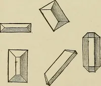 An illustration from Medical microscopy : a guide to the use of the microscope in medical practice (1898)