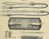 An illustration from Medical microscopy : a guide to the use of the microscope in medical practice (1898)