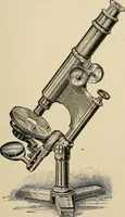 An illustration from Medical microscopy : a guide to the use of the microscope in medical practice (1898)