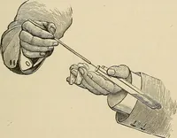 An illustration from Medical microscopy : a guide to the use of the microscope in medical practice (1898)