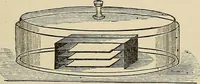 An illustration from Medical microscopy : a guide to the use of the microscope in medical practice (1898)