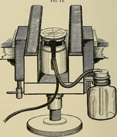 An illustration from Medical microscopy : a guide to the use of the microscope in medical practice (1898)
