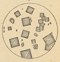 An illustration from The Medical and surgical reporter (1858)