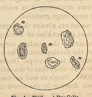 An illustration from The Medical and surgical reporter (1858)