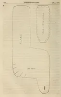 Picture 1 of 15 from The Medical and surgical reporter (1858), leaf 224