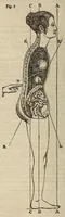 An illustration from The Medical and surgical reporter (1858)