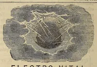 Picture 15 of 15 from The Medical and surgical reporter (1858), leaf 602